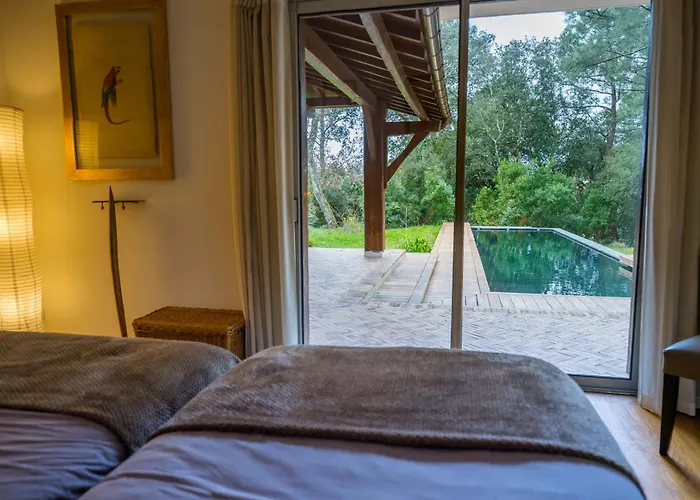 Dona Sol * Ла-Тест-де-Бюш